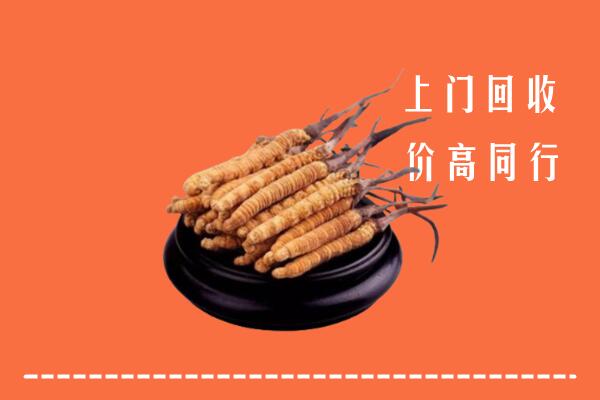 高价求购：水城区回收散虫草